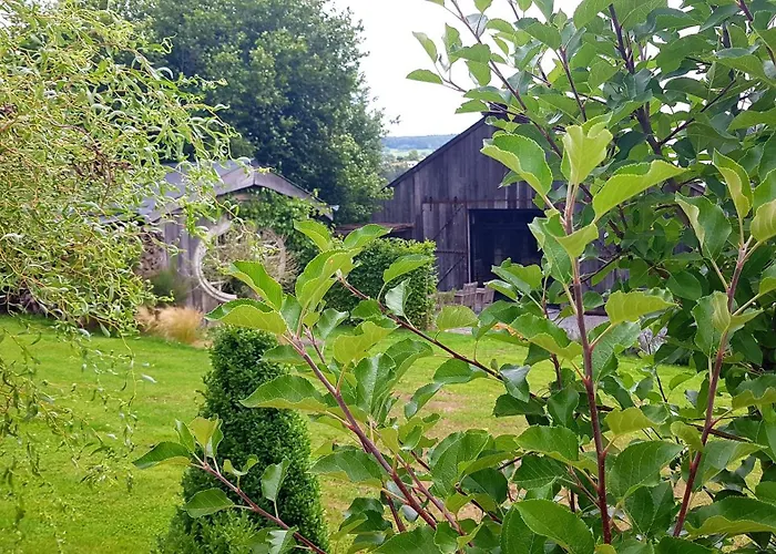 Le Des Flaneurs Nocleg ze śniadaniem 3*